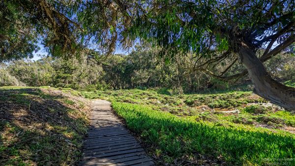 Parajo Dunes Resort Monterey Bay (5/3/2017 - Credits: Sarah Moody)