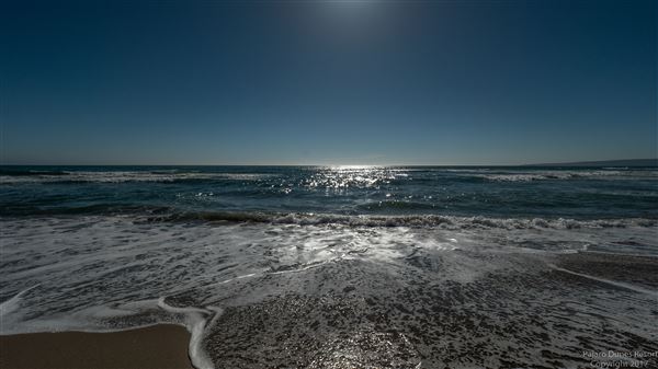 Parajo Dunes Resort Monterey Bay (10/27/2023 - Credits: Sarah Moody)