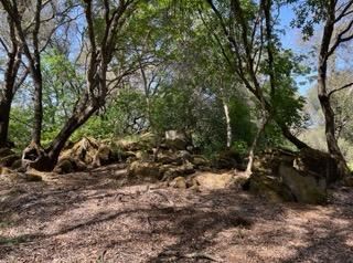 Olive Ranch (5/10/2022 - Credits: Placer County)