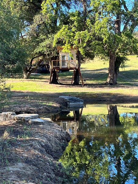 Olive Ranch (5/10/2022 - Credits: Placer County)