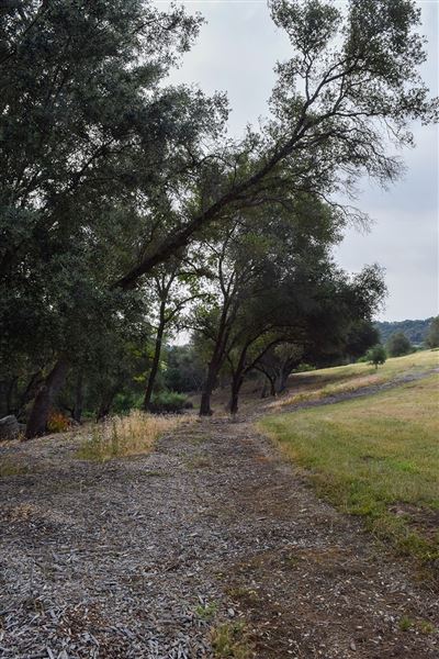 Olive Ranch (7/14/2022)