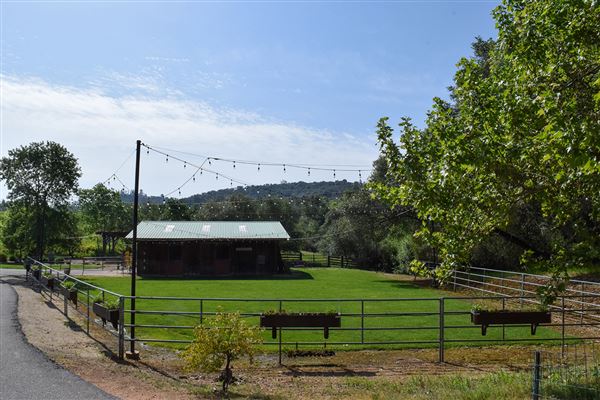 Olive Ranch (7/14/2022)