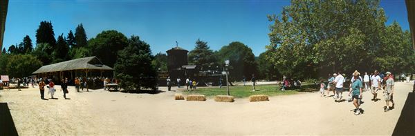 Roaring Camp Railroad (12/31/2003)