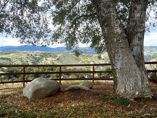 Randhawa Ranch (3/7/2024 - Credits: submitted by: Matthew Stuhl)