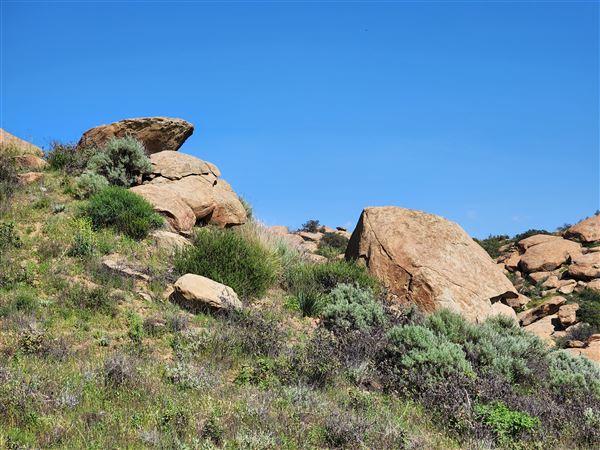 Rocky Peak Park (3/19/2024 - Credits: Rene Garcia)