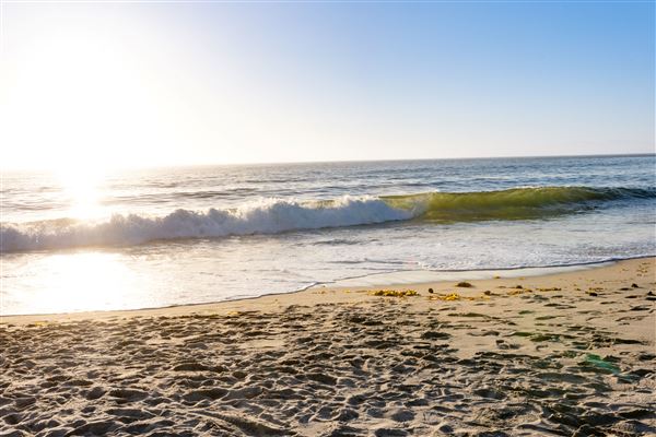 City of Torrance - Torrance Beach (8/30/2023 - Credits: Augustine Agency)