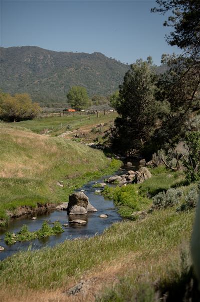 Rankin Ranch - California Cattle & Guest Ranch (5/15/2023 - Credits: Amanda Rankin)