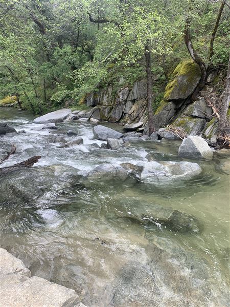 Crystal Creek Falls - Whiskeytown National Recreation Area (5/4/2024 - Credits: Crystal Creek Falls)