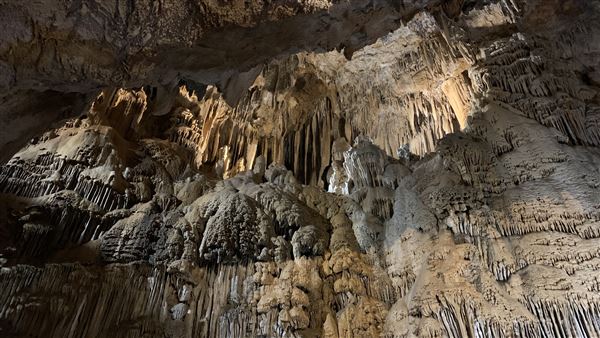 20359 Shasta Caverns Road (5/5/2024 - Credits: Brandy Davis)