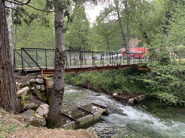 Railroad Park Resort and Dining Car Restaurant (5/5/2024 - Credits: Brandy Davis)