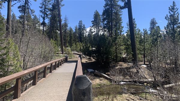 Manzanita Lake (5/3/2024 - Credits: Brandy Davis)