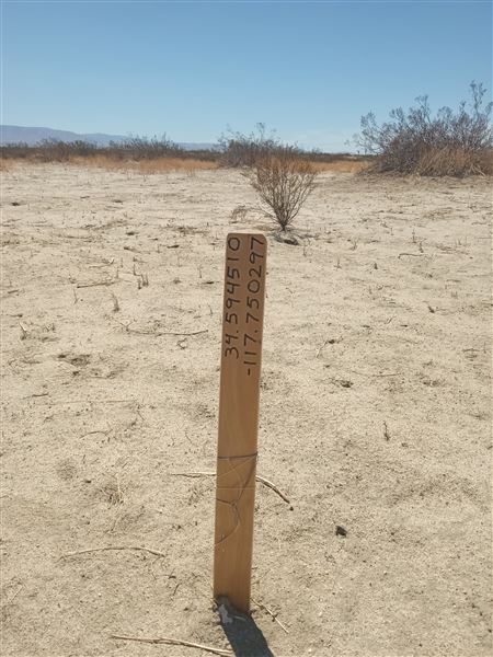 Desert Bliss (6/17/2023 - Credits: Ora Beth Nance)