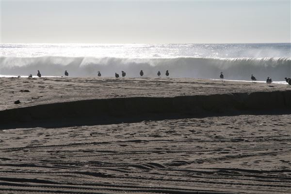 City of El Segundo (7/1/2024 - Credits: City of El Segundo)