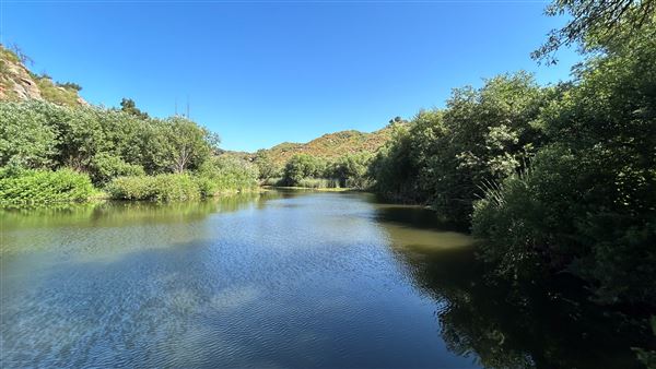 Malibu Creek State Park (SP) - Century Lake (6/26/2024 - Credits: Brandy Davis)
