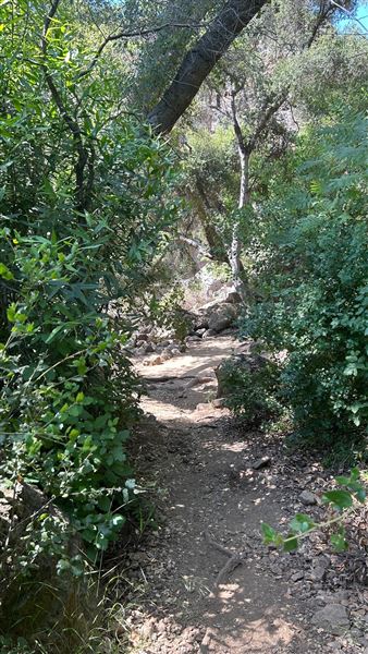 Malibu Creek State Park (SP) - Rock Pool and trail (6/26/2024 - Credits: Brandy Davis)
