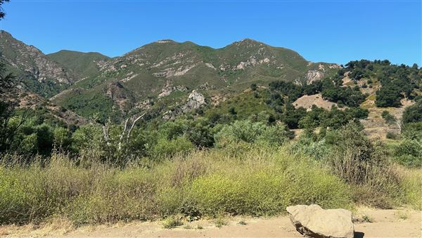 Malibu Creek State Park (SP) - Scenic Views from trail (6/26/2024 - Credits: Brandy Davis)