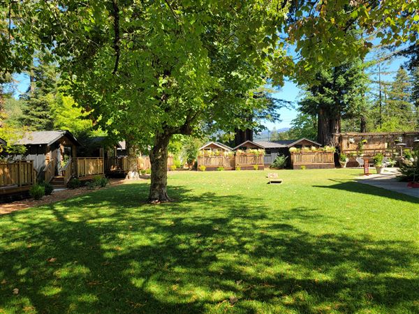 Dawn Ranch - Fern Grove Cottage (7/16/2024 - Credits: Dawn Ranch)