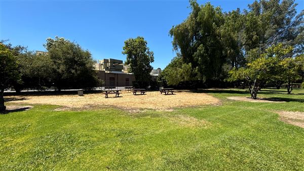 Los Encinos State Historic Park (SHP) adjacent to currently closed Lakeside Restaurant & Lounge (7/12/2024 - Credits: Brandy Davis)