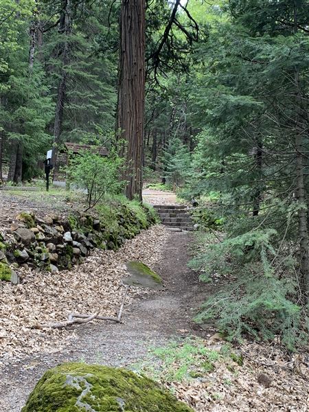 Dunsmuir City Park Sacramento River (5/4/2024 - Credits: Brandy Davis)