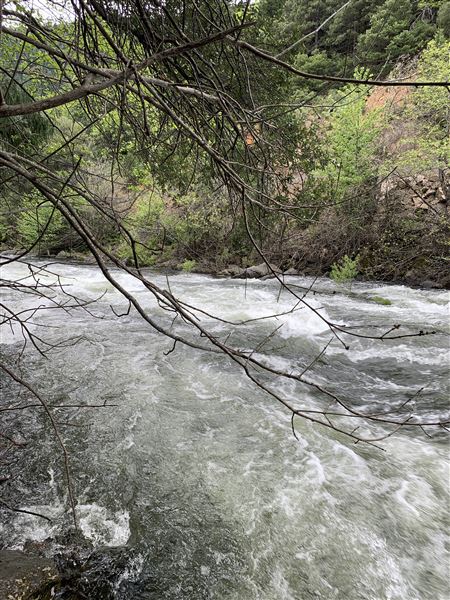 Dunsmuir City Park Sacramento River (5/4/2024 - Credits: Brandy Davis)