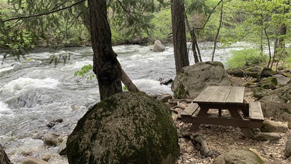 Dunsmuir City Park Sacramento River (5/4/2024 - Credits: Brandy Davis)