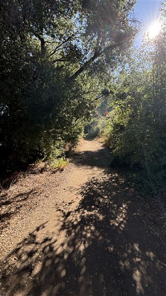 Malibu Creek State Park (SP) - M*A*S*H* Site Location (7/31/2024 - Credits: Brandy Davis)