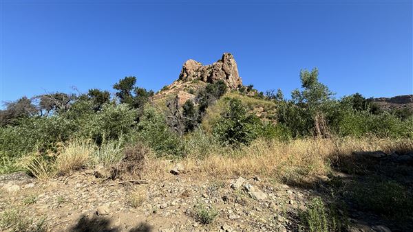 Malibu Creek State Park (SP) - M*A*S*H* Site Location (7/31/2024 - Credits: Brandy Davis)