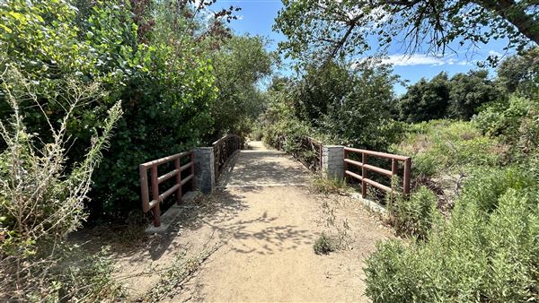 Sepulveda Basin Wildlife Preserve / Woodley Park (8/2/2024 - Credits: Brandy Davis)