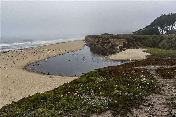 Half Moon Bay State Beach (SB) (8/5/2024 - Credits: Photo Courtesy of California State Parks 2024)