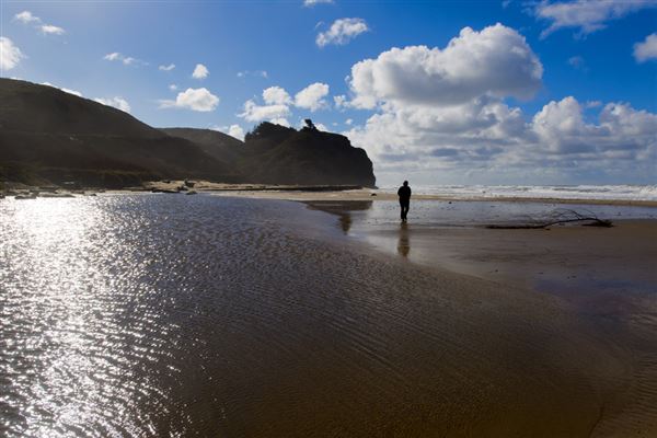 Pomponio State Beach (SB) (8/5/2024 - Credits: Courtesy of California State Parks 2024)