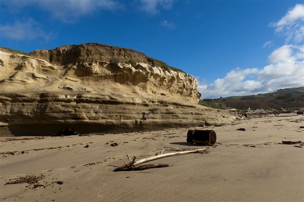 San Gregorio State Beach (SB) (8/5/2024 - Credits: Courtesy of California State Parks 2024)