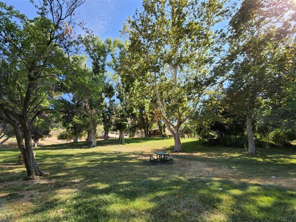 Ed Davis Park in Towsley Canyon - Santa Monica Mountains Conservancy - SMMC (8/20/2024 - Credits: Santa Monica Mountains Conservancy)
