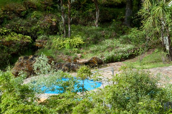 Vichy Springs Resort and Inn - The Hot Pool at Vichy Springs (5/8/2024 - Credits: Gilbert Ashoff)
