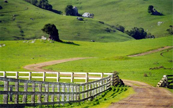 J G Angus Ranch (12/31/2003)