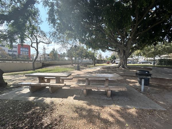 Syd Kronenthal Park (10/4/2024 - Credits: Brandy Davis)