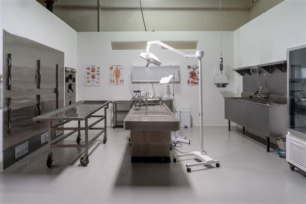SirReel Studios Standing Sets - Morgue (10/15/2024)