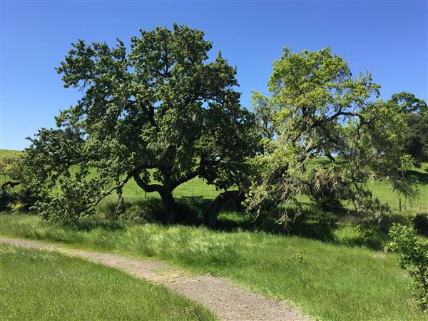 Crane Creek Regional Park (10/29/2024 - Credits: Sonoma County)