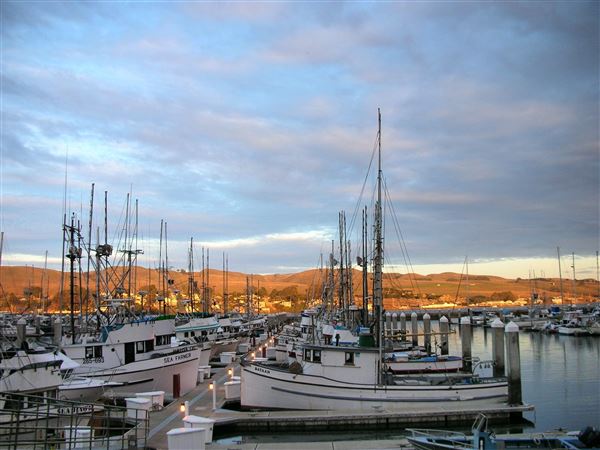 Spud Point Marina (10/29/2024 - Credits: Sonoma County)