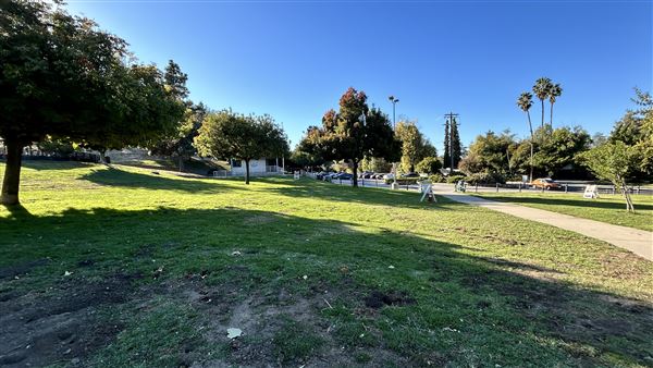 Serrania Park (11/8/2024 - Credits: Brandy Davis)