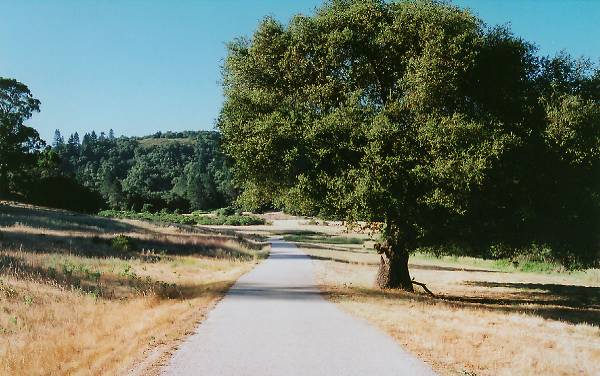 Quail Hollow Ranch County Park (12/31/2003)