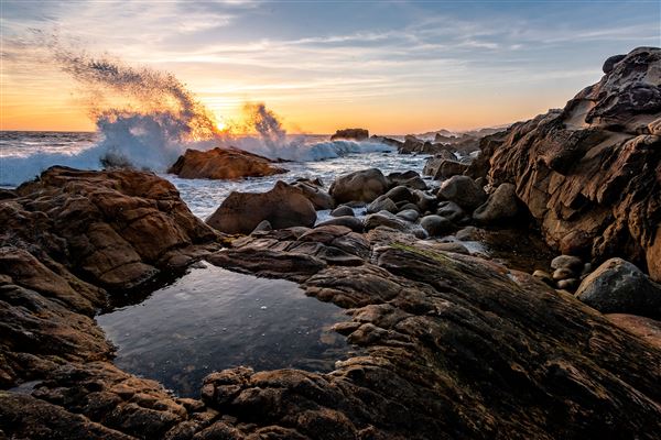 Salt Point State Park (SP) (4/26/2019 - Credits: Brian Baer)