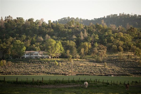 Rankin Ranch - California Cattle & Guest Ranch (2/5/2025 11:00:41 AM - Credits: submitted by:)