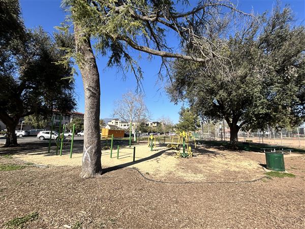 San Fernando Recreation Park (2/24/2025 - Credits: Brandy Davis)