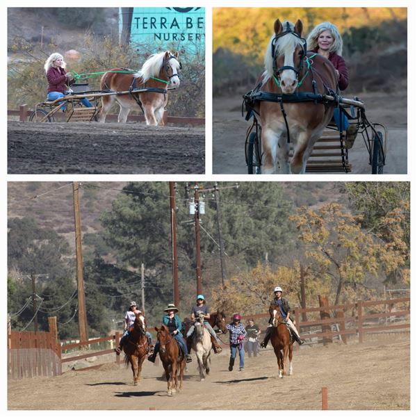 River Oaks Ranch (2/14/2025 - Credits: Laurel Manning, Billy Ortiz, Shelly Lewis)