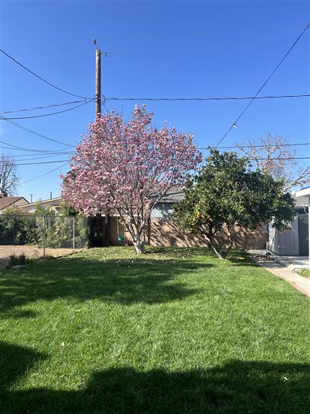 Burbank (3/1/2025 - Credits: submitted by: Roy Andrade)