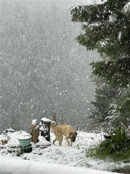 Long Creek Ranch (3/5/2025 - Credits: The Larsen Family)