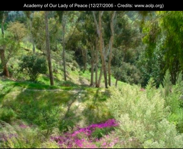 Academy of Our Lady of Peace (12/27/2006 - Credits: Academy of Our Lady of Peace)