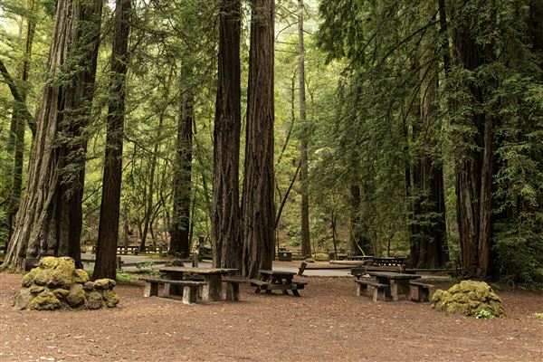 Armstrong Redwoods State Natural Reserve (SNR) (5/26/2015 - Credits: Brian Baer)