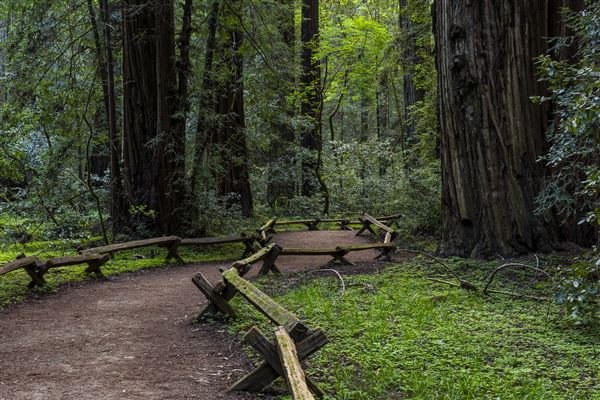 Armstrong Redwoods State Natural Reserve (SNR) (4/26/2019 - Credits: Brian Baer)