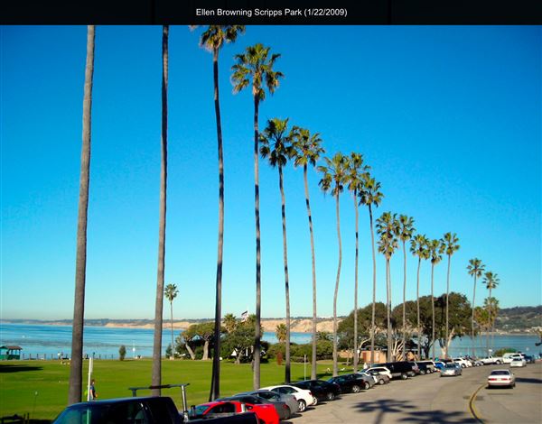 Ellen Browning Scripps Park (1/22/2009 - Credits: San Diego Film Commision)